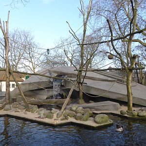 Exhibit for Japanese Macaque