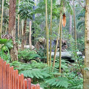 Lost Valley- Aviary Interior