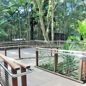 Lost Valley- Aviary Interior
