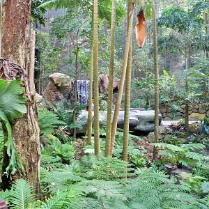 Lost Valley- Aviary Interior