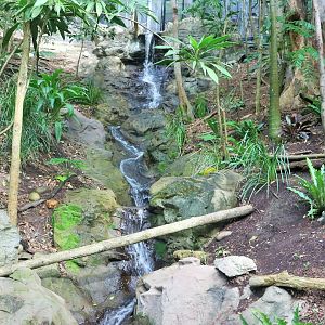 Lost Valley- Aviary Interior