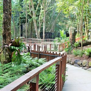Lost Valley- Aviary Interior