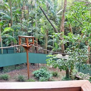 Lost Valley- Red Panda Enclosure