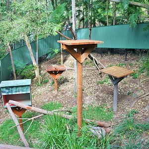 Lost Valley- Green Iguana Enclosure