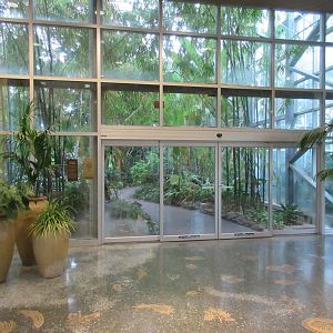 Conservatory - Entrance