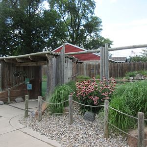 North American River Otter Exhibit