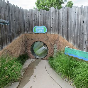 North American River Otter Exhibit - Visitor Tunnel