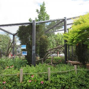 Barn Owl/Turkey Vulture Exhibit