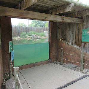 North American River Otter Exhibit