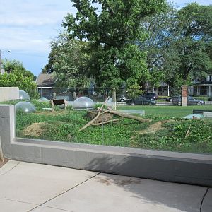 Black-tailed Prairie Dog Exhibit