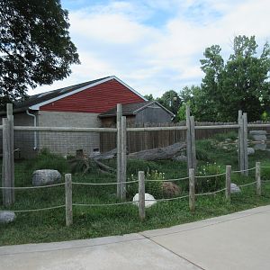 North American River Otter Exhibit - grassy yard!