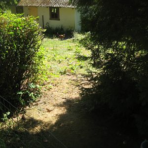 Frydenlund Fuglepark - South African shelduck exhibit