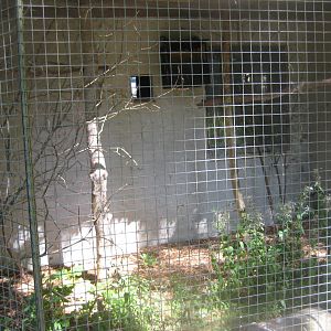 Frydenlund Fuglepark - Little owl aviary