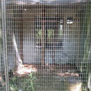 Frydenlund Fuglepark - Chaco owl aviary