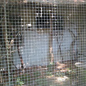 Frydenlund Fuglepark - Spotted eagle owl aviary