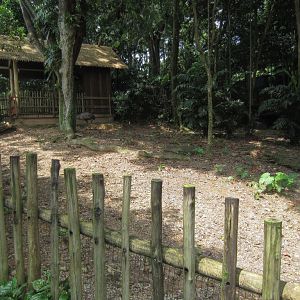 Emu enclosure