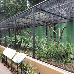 Scarlet Macaw Aviary