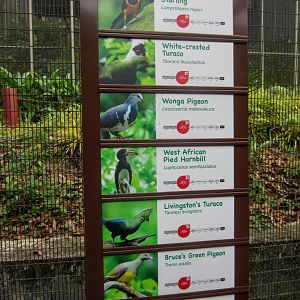 Labels in Royal Ramble