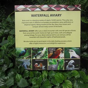 Signage in Waterfall Aviary