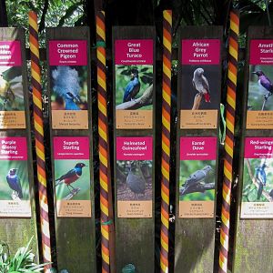 Labels in Waterfall Aviary