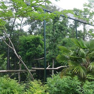 Steller's Sea Eagle Aviary at Beauval, 12/06/18