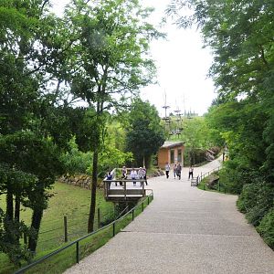 General View at Beauval, 12/06/18