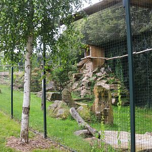 Lammergeier Aviary at Beauval, 12/06/18