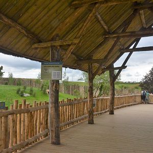 Bear and Wolf Viewing Area at Beauval, 12/06/18