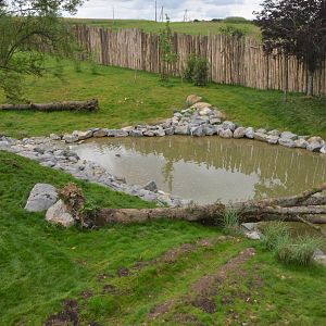 European Brown Bear Enclosure at Beauval, 12/06/18