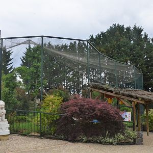 Snow Leopard Enclosure at Beauval, 12/06/18
