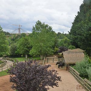 Farm Area at Beauval, 12/06/18