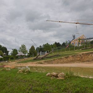 African Elephant Enclosure at Beauval, 12/06/18