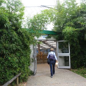 Elephant House at Beauval, 12/06/18