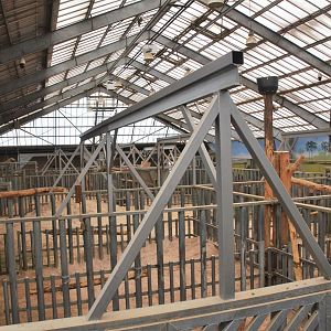 Elephant House Interior at Beauval, 12/06/18