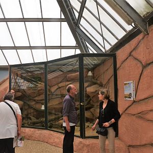 Short-eared Elephant Shrew Enclosure at Beauval, 12/06/18