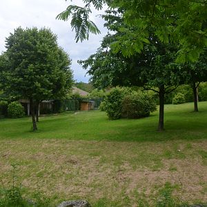 Okapi and Crane Enclosures at Beauval, 12/06/18