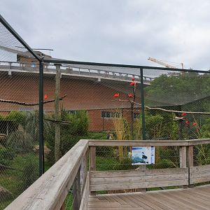 South American Aviary at Beauval, 12/06/18