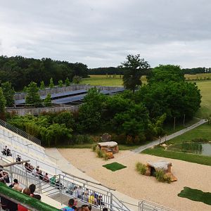 Stadium - Les Maîtres des Airs at Beauval, 12/06/18