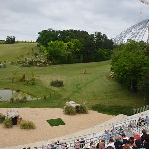 Stadium - Les Maîtres des Airs at Beauval, 12/06/18