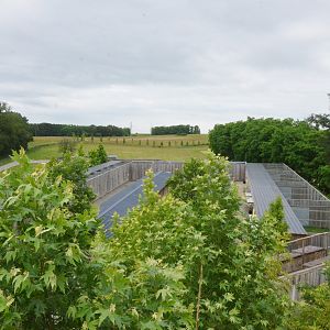 Bird Holding Area - Les Maîtres des Airs at Beauval, 12/06/18