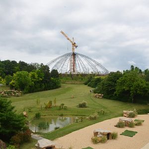 Stadium - Les Maîtres des Airs at Beauval, 12/06/18
