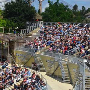 Vultures - Les Maîtres des Airs at Beauval, 12/06/18