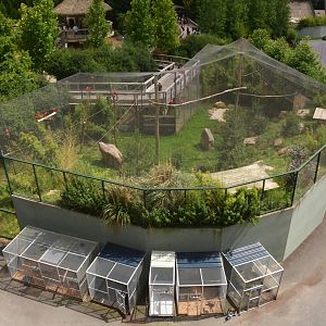 South American Aviary and Holding - View from Les Maîtres des Airs at Beauval, 12/06/18