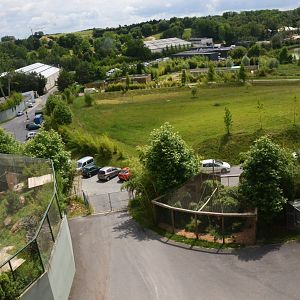 Holding Aviaries - View from Les Maîtres des Airs at Beauval, 12/06/18
