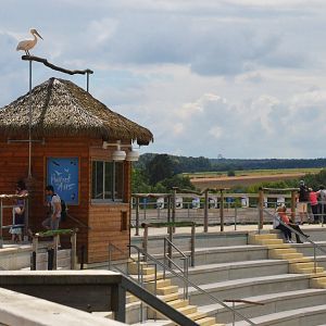 Still Not All Taken In - Les Maîtres des Airs at Beauval, 12/06/18