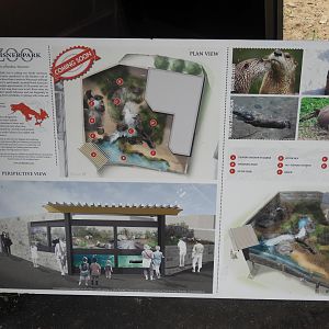 North American River Otter exhibit plan sign