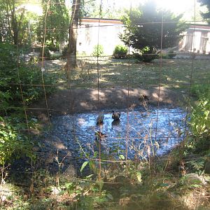 Frydenlund Fuglepark - Mixed waterfowl exhibit
