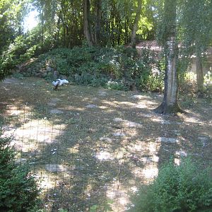 Frydenlund Fuglepark - Mixed waterfowl exhibit