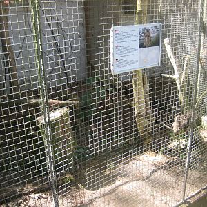 Frydenlund Fuglepark - Striped owl aviary