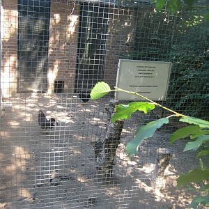 Frydenlund Fuglepark - Chicken aviary #1
